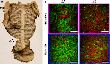 Historical damage: monitoring deterioriation
