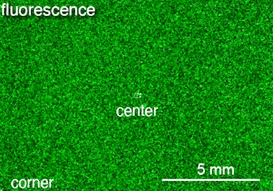 Broad view: more cells in sight
