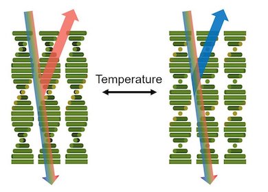 Hues under control: liquid crystals