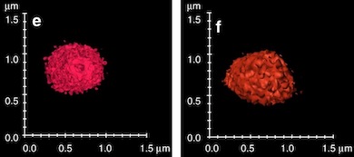 Fast and accurate virus ID