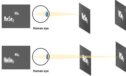 Schematic diagram of bio-application holograms. 