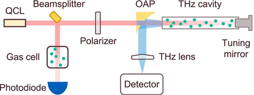 Schematic of the experimental setup. Click for info.