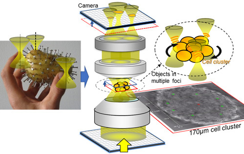 Optical tweezers are capable of rotating objects in the microcosm. 