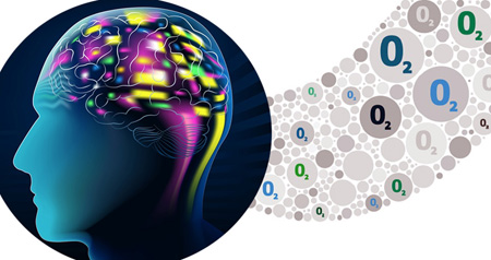 Measurement of the cerebral metabolic rate of oxygen consumption.