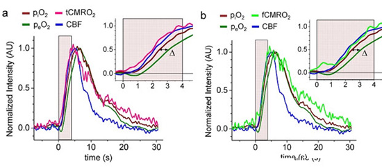 Uncovering physiologically-important information. Click for info.