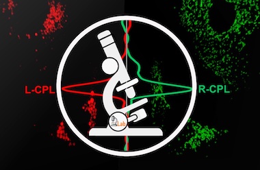 Chirality revealed: polarized luminescence