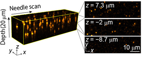 Video-rate acquisition of 1 µm fluorescence beads in water. 