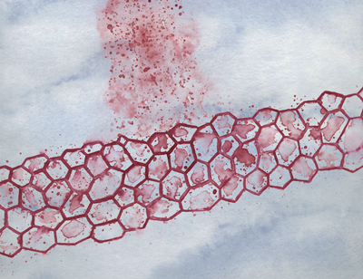 AMOLF's thin silicon membrane absorbs 65% of sunlight. 