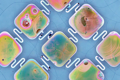 Silicon membrane after the etching process.