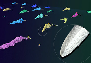 Plant life: growth dynamics