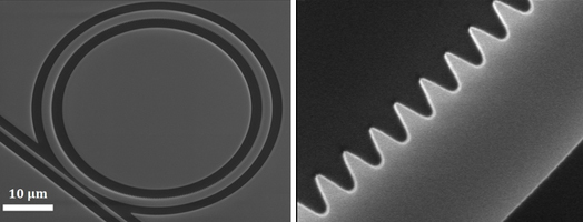 Link combines two multiplexing technologies to make 40 optical channels.