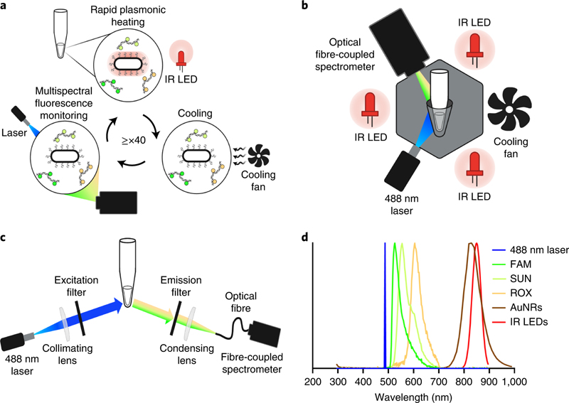 Schematic of multiplexed real-time plasmonic RT-PCR, with heating driven by IR LEDs acting on AuNRs. Click for full captions.