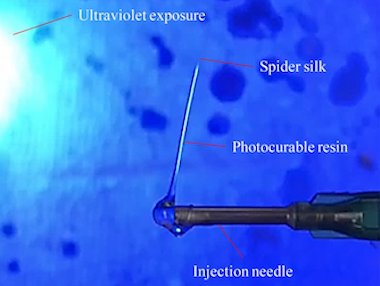 Spin out: sensor from silk