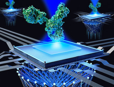 Seeing smaller proteins: optics plus machine learning
