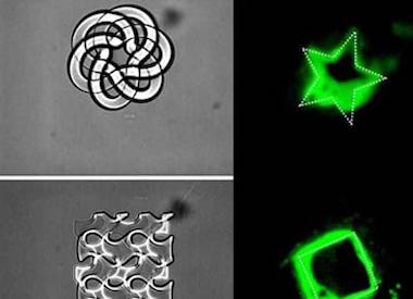 Fine print: multiphoton fabrication 