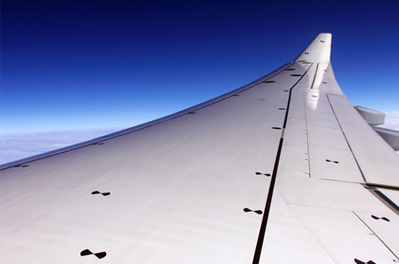 Wing markings enable measuring distances with just one camera.
