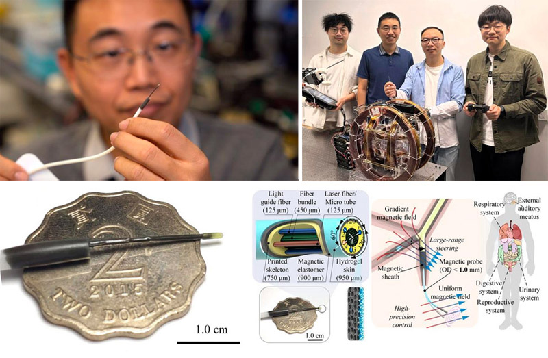 Researchers from HKUST have developed the world’s smallest multifunctional biomedical robot.