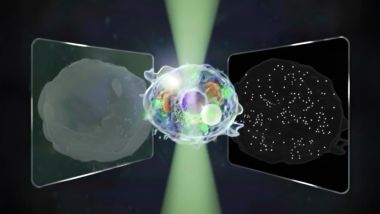 Double take: bidirectional scatter