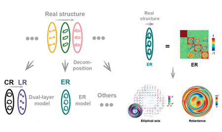 Multilayered: polarization analysis of a retarder sample. Click for info.