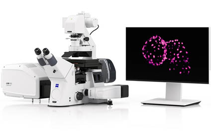 Lightfield 4D enables instant volumetric high-speed fluorescence imaging.