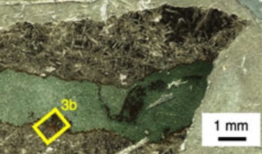 Rock of ages: the hunt for microbes