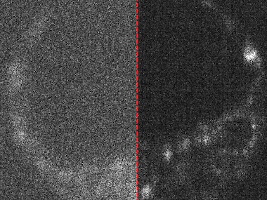 Do little damage: fragile living tissues