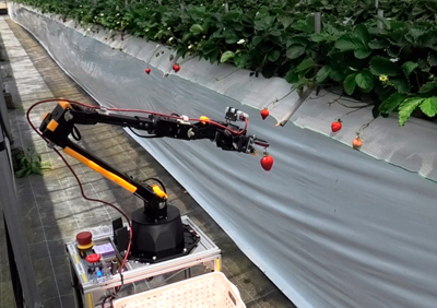 Farm robot using lidar-based control harvesting strawberries.