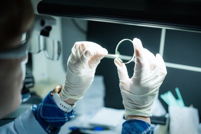 Good feeling: G&H’s Florida operation in Tampa.