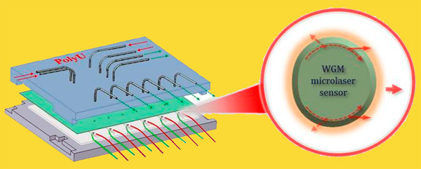 New polymer whispering-gallery-mode microlaser sensor.