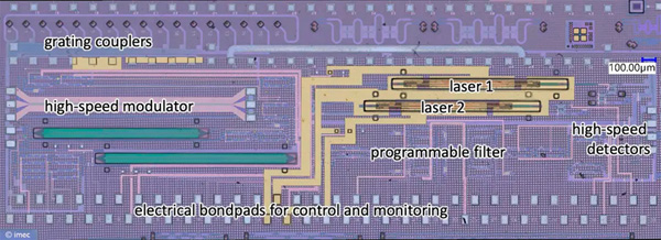 Microscope image of the fabricated microwave photonic chip.