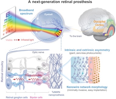 See such a sight: enhanced vision