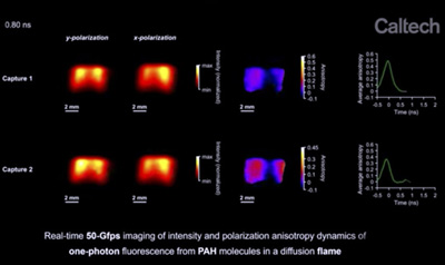 Compressed Ultrafast Planar Polarization Anisotropy Imaging. Click for info.