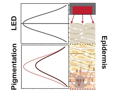 Skin deep: pigment properties