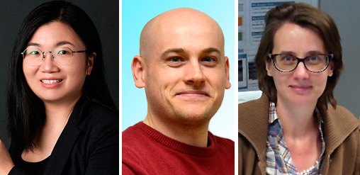 New SPIE  Senior Members: Fenglin Peng, Kayn Forbes, and Vicky Philipsen.