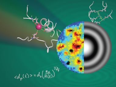 Structure revealed: condensates at work