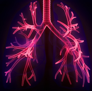 Closer to the target: lung tissues