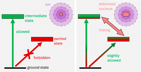 Ytterbium-173 turns forbidden quantum jumps into allowed transitions.