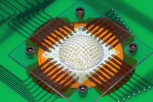 Seeing differently: the arthropod-inspired camera