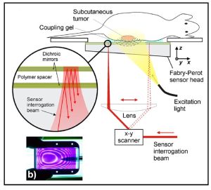 An all-optical photoacoustic platform