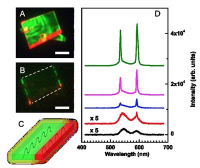 Real-color PL image of the nanosheet under low pumping power density.