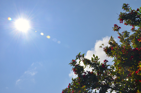 Sunny prospects: MIT's new approach to PV promises ultimate conversion.