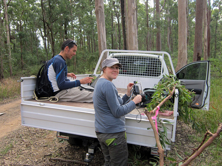 Wood news: Rachel and Mat Disney of UCL use an ASD Fieldspec.