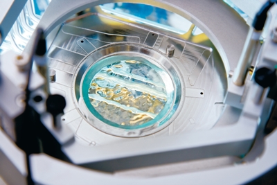 Immersion lithography