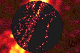 Beyond the limit: STED sees in greater detail