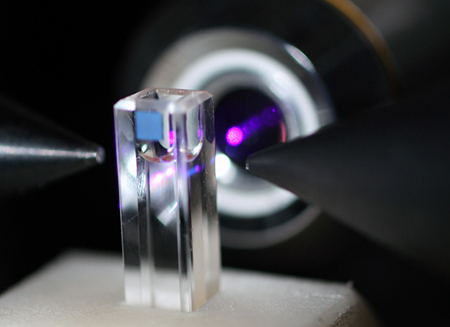 Concentration of tumor markers in a sample can easily be observed.