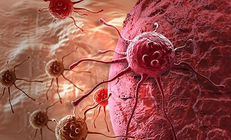Measurement of heterogeneity of different tumor cells.