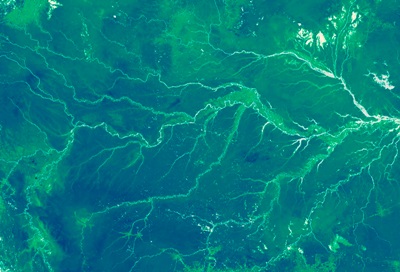 Amazon rainforest height map