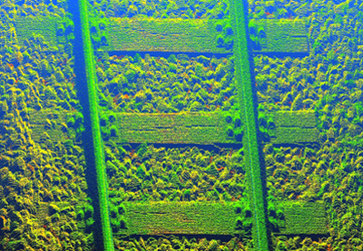 ...then algorithms produce detailed 3D reports.