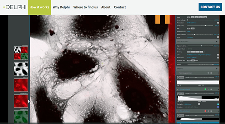 DELMIC and Phenom-World are launch Delphi, this week.