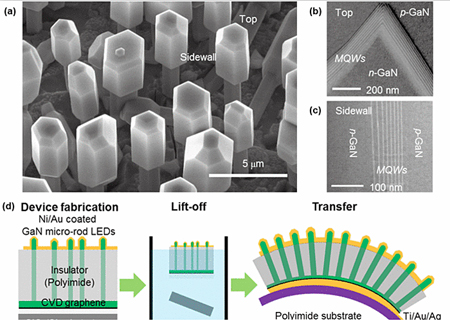 GaN micro-rod LEDs fabricated on graphene films.